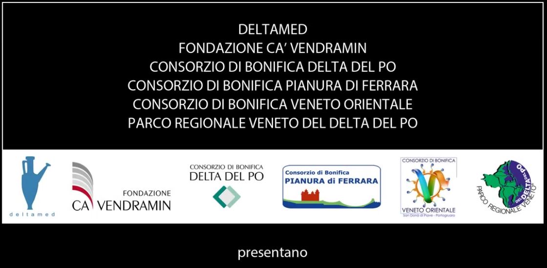 VideoDeltaMed