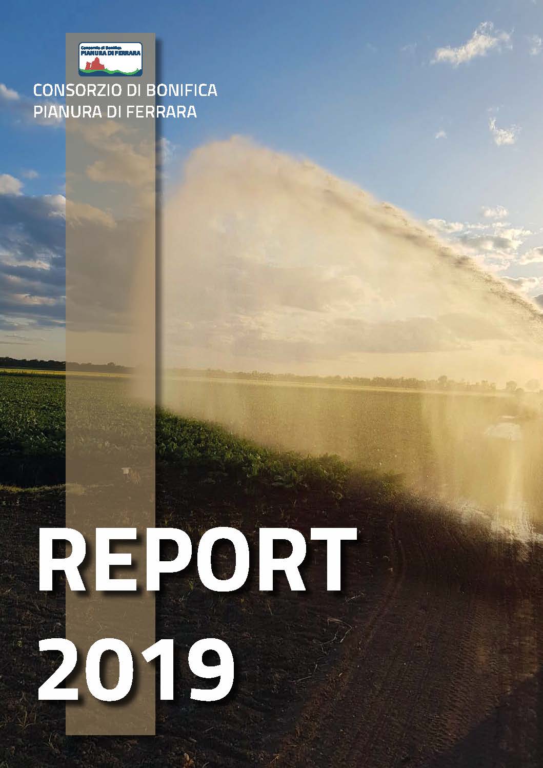 REPORT 2019
