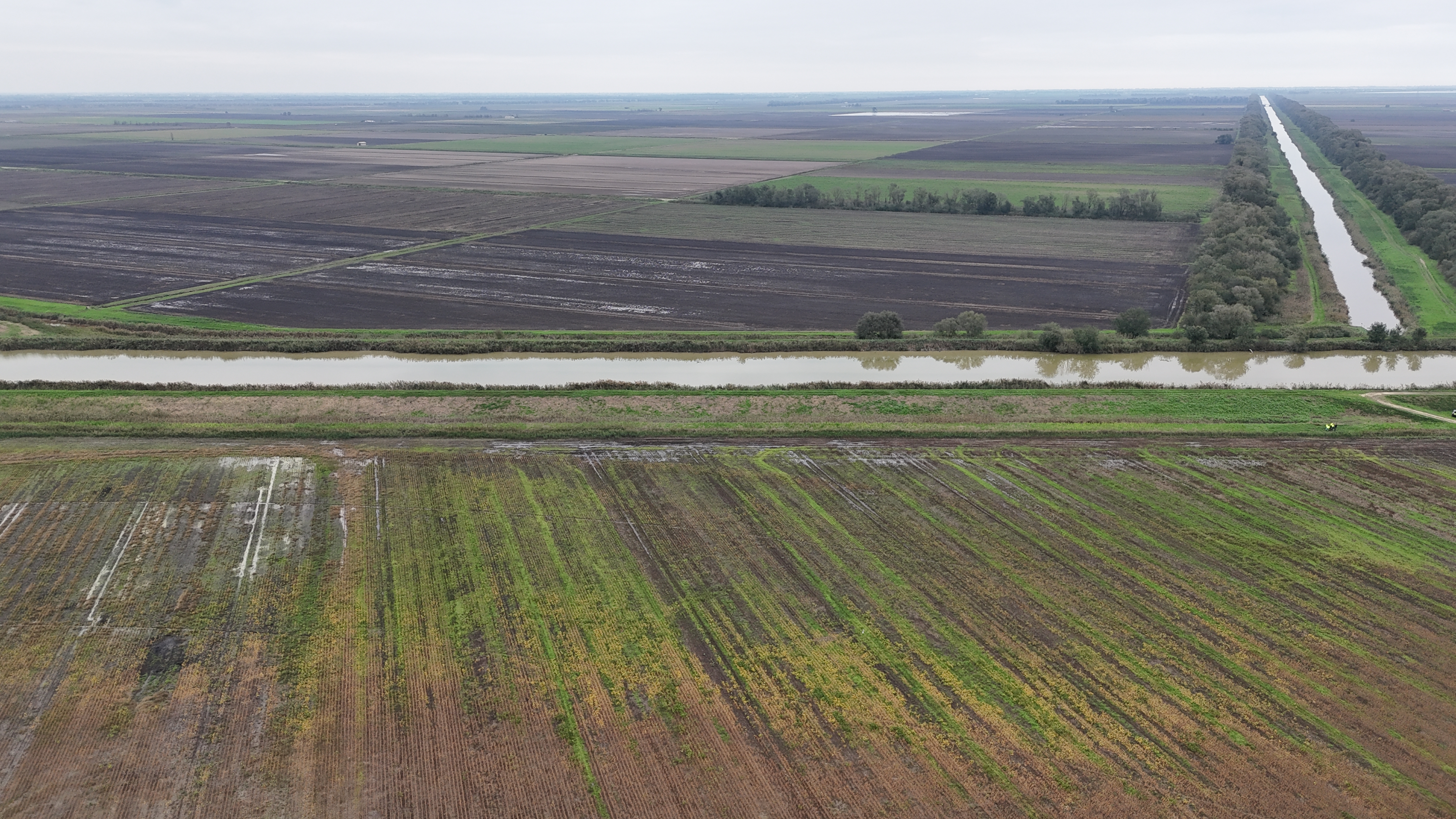 DJI 20241022155653 0579 D